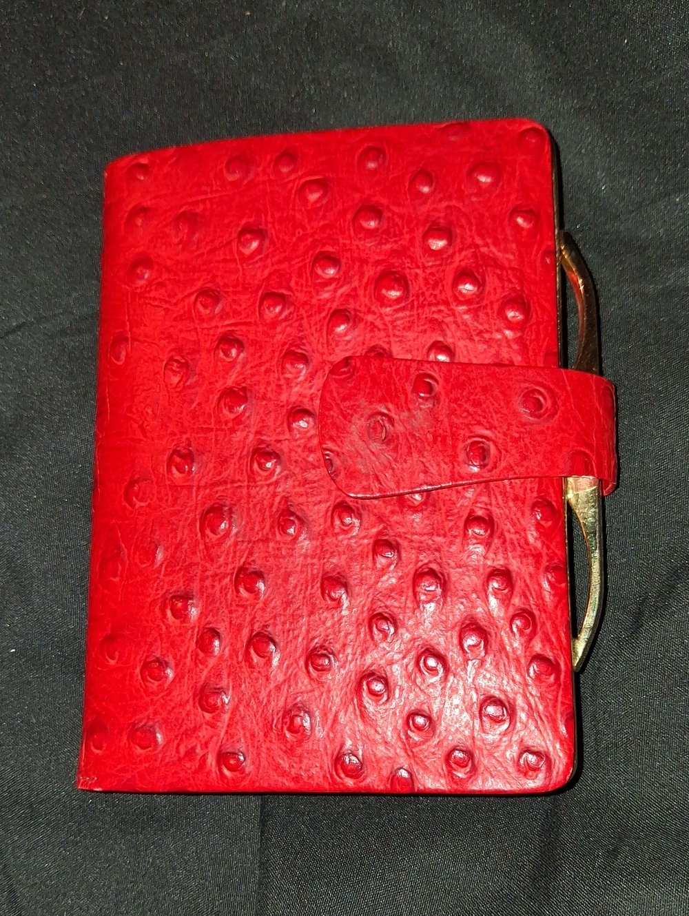 Fiocchi Italy Red Ostrich Leather Wallet